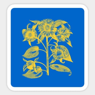 Sunflowers for Ukraine Sticker